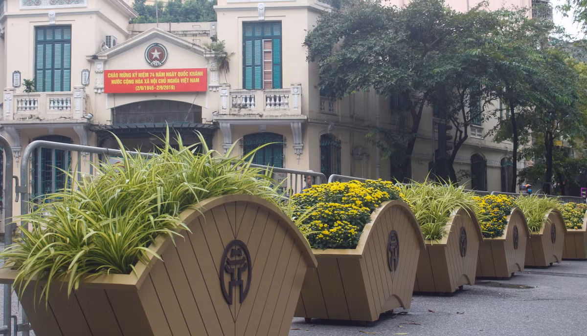 Duong pho Ha Noi ngap tran co hoa mung Quoc khanh 2/9-Hinh-3