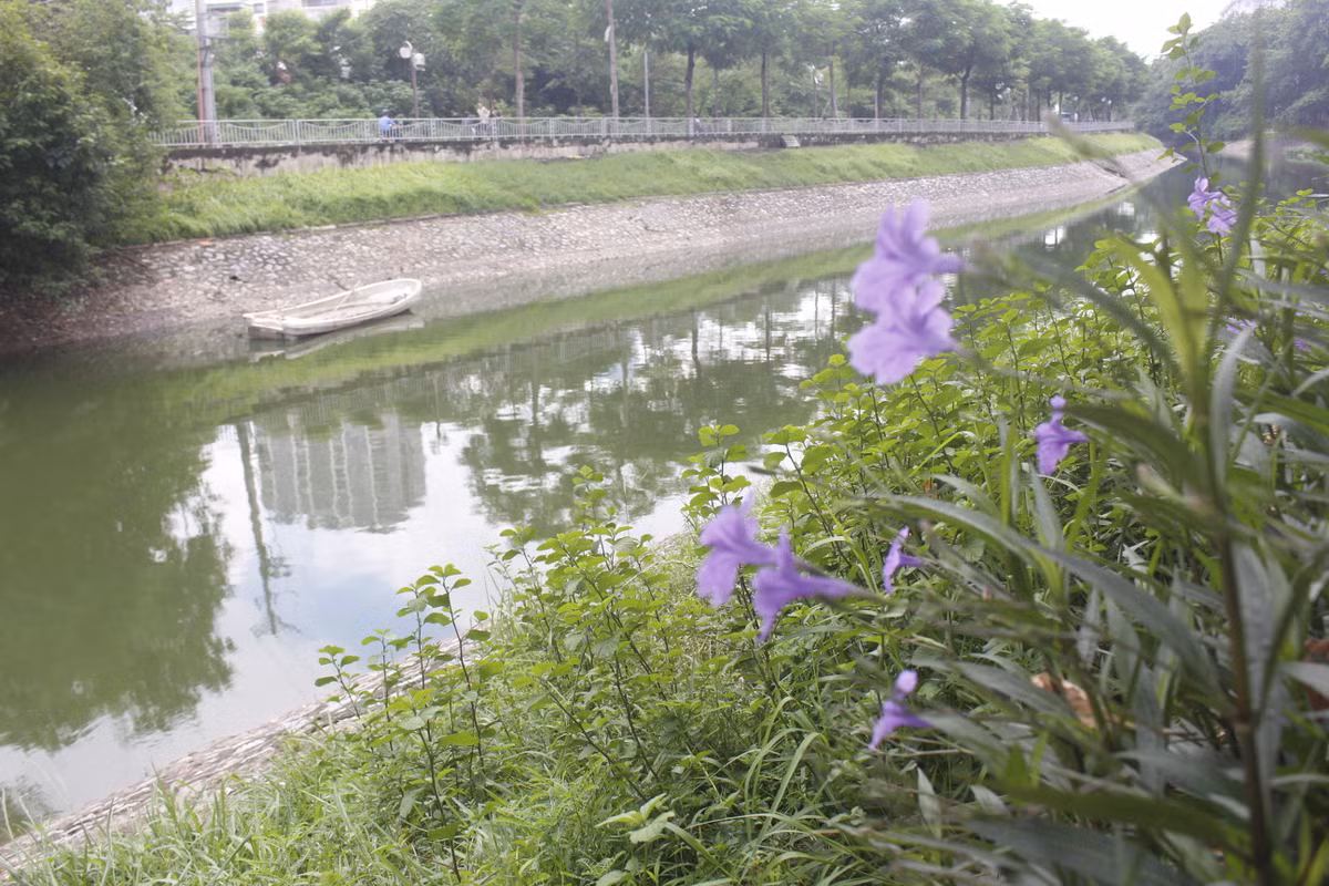 Nhiều chuyên gia đánh giá, những nỗ lực làm sạch sông Tô Lịch thời gian vừa qua chỉ mang tính chất tình thế, tạm thời chứ chưa giải quyết được vấn đề cốt lõi ô nhiễm ở sông Tô Lịch.