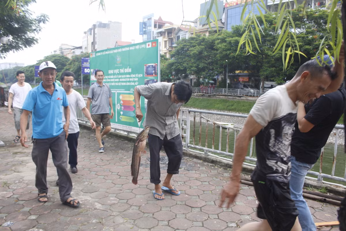 Rất nhiều người dân cảm phục hành động vớt cá của cần thủ trên