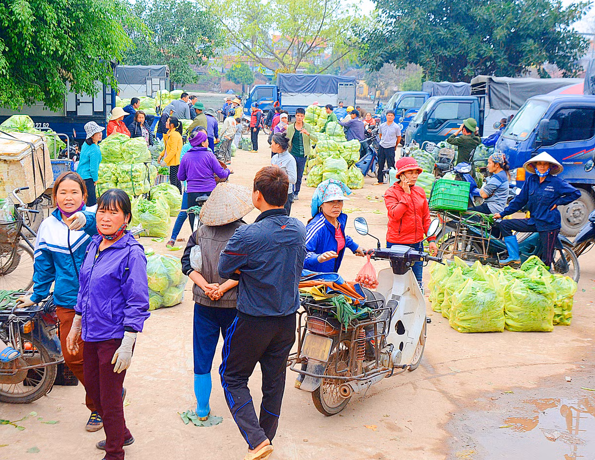 Bến bãi đỗ xe của các thương lái về thu mua rau.