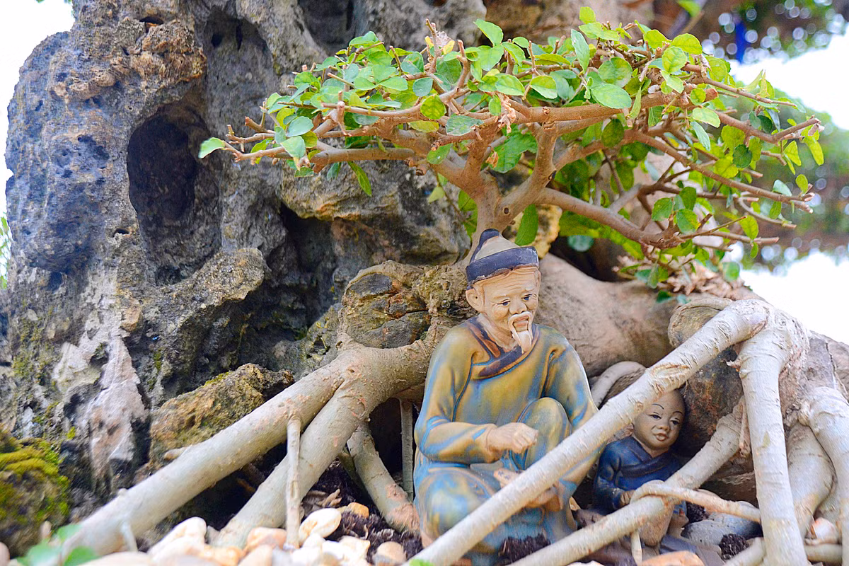 ... và muốn để chơi thêm một thời gian nữa.