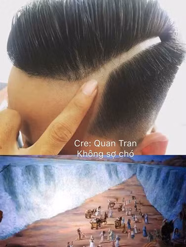 Nhìn đường cạo này có giống lối mòn giữa biển không?