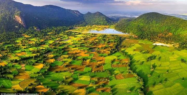 Cánh đồng lúa ở huyện Tri Tôn, tỉnh An Giang, Đồng bằng Sông Cửu Long trông như một "tấm chăn lớn được tạo thành từ nhiều mảnh ghép". Đồng bằng Sông Cửu Long được biết là "vựa lúa" của Việt Nam.