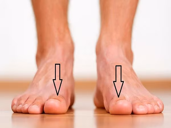 Trong sự nghiệp họ dễ dàng tạo nên cuộc sống lúc nào cũng ngập tràn hạnh phúc, viên mãn ít ai sánh bằng. 