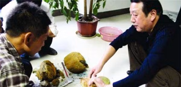Lão nông đào được viên đá lạ đem bán 2000 đồng 1 viên - Hình 4 Lao nong dao duoc vien da la dem ban 2000 dong 1 vien-Hinh-4
