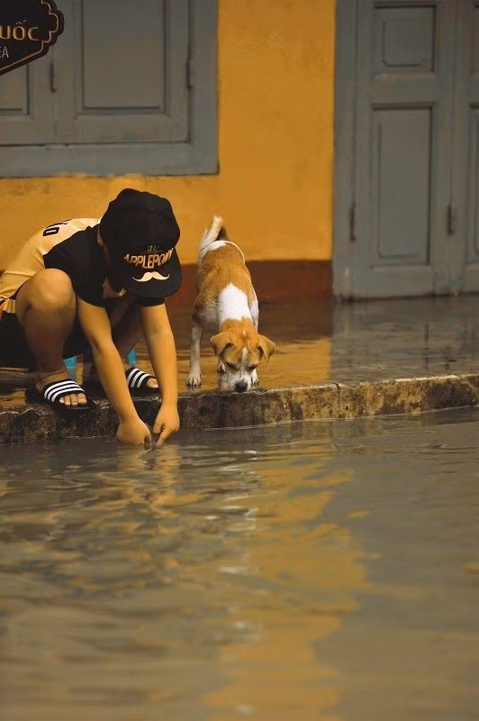 Nhung cau chuyen dang yeu dang sau bo anh “Venice Hoi An” thap sang nhung ngay mua lu-Hinh-16