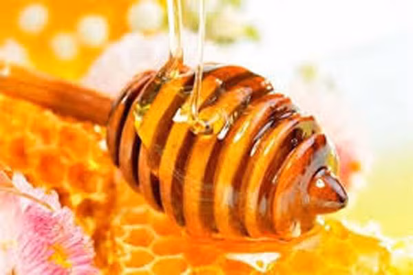 Ăn nhiều mật ong. Mật ong là một trong những nguồn thực phẩm nổi tiếng với công dụng giữ ấm, bảo vệ sức khỏe. Tốt nhất người cao tuổi nên uống sữa pha mật ong trước khi ngủ, vừa ấm người, vừa có được cảm giác ngon giấc.