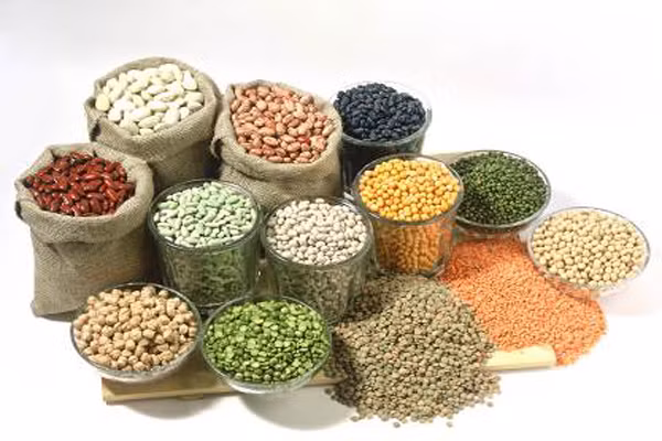 Paleo Diet. Còn gọi là phương pháp ăn kiêng của người tiền sử. Với chế độ ăn kiêng này, bạn phải tránh sữa, ngũ cốc, các loại đậu, các loại dầu chế biến, hứa hẹn là bạn sẽ giảm cân mà không cần cắt giảm lượng calo. Bạn không được phép ăn các thực phẩm đã chế biến với phương pháp ăn kiêng này. Bởi vì tổ tiên của chúng ta là những người săn bắn, không phải những người trồng trọt.