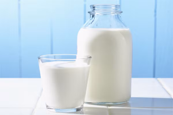  4. Bạn không nên ở bang Utah nếu như bị chứng không hạp lactose, do ở bang này, bạn sẽ phạm luật nếu từ chối một cốc sữa từ người khác. 