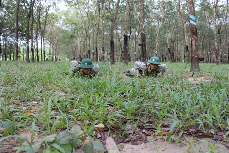 “Song hành”.