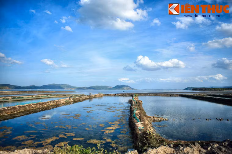 Bờ vịnh dài khoảng 50km, chạy qua nhiều vùng địa hình khác nhau với những tên gọi khá thú vị như: gành Đèn, Mũi đá Ong, gành Đen, gành Đỏ, vũng Lắm, vũng Mắm, vũng Dông, vũng Sứ, vũng Chào, vũng Me, vũng La, Bãi Ôm...