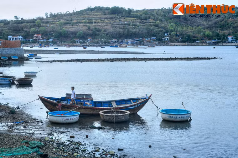Những vạn chài trong vịnh là địa điểm khám phá đời sống của người dân địa phương cũng như thưởng thức các đặc sản biển tươi ngon.