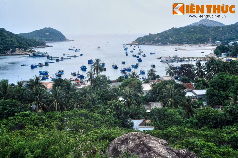 Ven bờ vịnh là các khu dân cư của dân chài ẩn hiện lùm cây um tùm.
