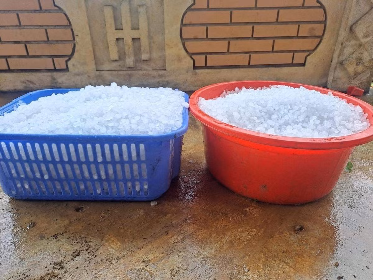 Theo dự báo, tình hình thời tiết đang có những diễn biến bất thường, Ban chỉ huy PCTT - TKCN tỉnh Yên Bái đề nghị các thành viên và các huyện, thị xã, thành phố thường xuyên cập nhật tình hình thời tiết, mưa dông, lốc sét, mưa đá và gió giật mạnh có thể xảy ra để thông báo, hướng dẫn kịp thời, thường xuyên cho các cấp chính quyền, nhân dân chủ động phòng tránh, giảm thiểu thiệt hại; sẵn sàng các phương án để chủ động ứng phó khi có tình huống, đặc biệt là bố trí lực lượng xung kích, vật tư phương tiện tại chỗ để kịp thời triển khai ứng cứu khi có yêu cầu.