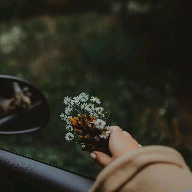  Tuổi Tuất: Tuổi Tuất được Chính Quan nâng đỡ, những động lực phía sau giúp con giáp này vượt qua khó khăn, trở ngại để thể hiện năng lực của chính mình, không chịu khuất phục dễ dàng. Thái độ bốc đồng, tự mãn sẽ khiến bản mệnh đánh mất niềm tin mà người khác dành cho mình. Đừng nhận quá nhiều việc với những hứa hẹn mà chính người tuổi Tuất cũng không biết mình có làm được hay không.