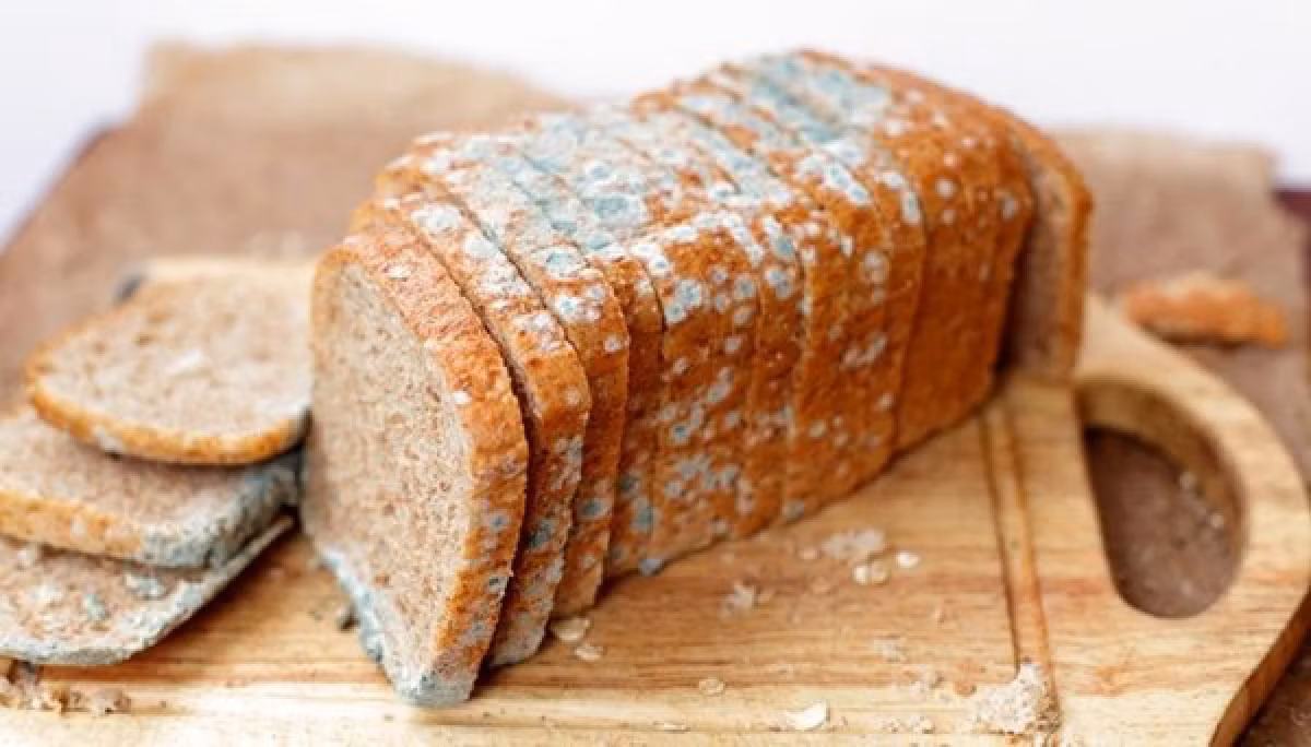 Ngoài việc chỉ ra mối nguy sức khỏe của việc ăn thực phẩm mốc, bác sĩ còn nhấn mạnh dấu hiệu gan tổn thương, cần đi khám càng sớm càng tốt. Các triệu chứng bao gồm đi ngoài phân đen hoặc vàng, phân không thành khuôn, phân thuôn hình bút chì; thường xuyên mất ngủ, mơ gặp ác mộng; thi thoảng xuất hiện những cơn co thắt ở bắp chân, Ảnh minh họa.