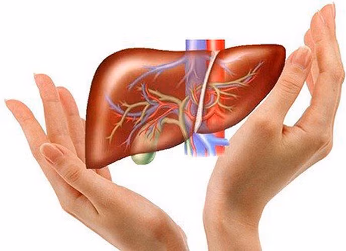 Tập luyện phù hợp cũng mang lại hiệu quả tích cực. Cơ thể chứa nhiều huyệt đạo, các huyệt đạo này liên quan mật thiết đến tạng phủ. Tập luyện tích cực góp phần kích thích huyệt đạo, nhờ đó cải thiện sức khỏe gan, giúp gan thải độc tốt hơn. Tùy vào thể trạng, bạn có thể chọn bài tập phù hợp. Ảnh minh họa.
