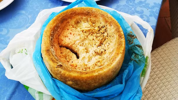 Casu Marzu thường được ăn với bánh mì Sardinian (pane carasau). Những con giòi này liên tục ngọ nguậy và đây cũng là tiêu chí để đánh giá miếng pho mát có thể sử dụng được hay không.