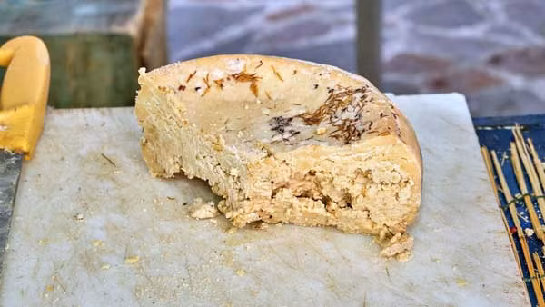 Casu Marzu là loại pho mát toàn giòi rất nổi tiếng tại Ý. Nó còn có tên gọi khác là Casu Modde, Casu Cundídu, Casu Fràzigu. (Ảnh minh họa)