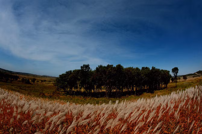 Mùa thu êm dịu ở vùng Primorye, Nga.