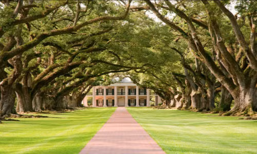 Oak Alley Plantation là một đồn điền lịch sử nằm dọc bờ sông Mississippi, bang Louisiana. Du khách sẽ có cảm giác như lạc bước vào trong thế giới cổ tích khi đi qua đường sồi Oaak Alley.
