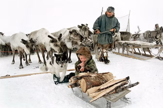  Vùng đất băng giá này là nơi sinh sống tộc người Nenets.