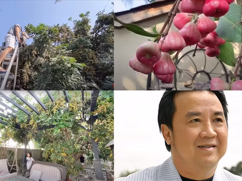 Ngoai “trang trai” o My, NSUT Bao Quoc con “gia tai” dang ne nay