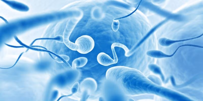 Chỉ cần thoa loại gel mới này lên vai có thể giúp quý ông tránh thai - Hình 2 Chi can thoa loai gel moi nay len vai co the giup quy ong tranh thai-Hinh-2