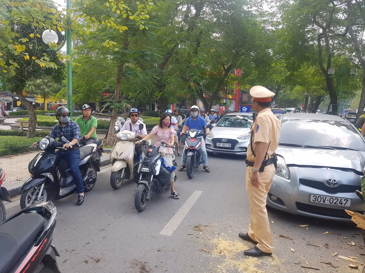 Được biết, cây xanh bất ngờ bật gốc đổ đè lên ô tô có thân gốc khá lớn, khoảng 2 người ôm, gốc bị mục ruỗng, gãy đổ trong phần giữa dải phân cách 2 làn đường Thanh Niên. Một phần thân cây đè trúng mũi xe ô tô. Vụ việc cũng khiến tuyến đường Thanh Niên ùn ứ trong ít phút.