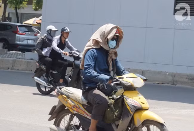 Ha Noi: Cu ong tu vong khi tru nang, nghi bi soc nhiet do troi nong gay gat keo dai