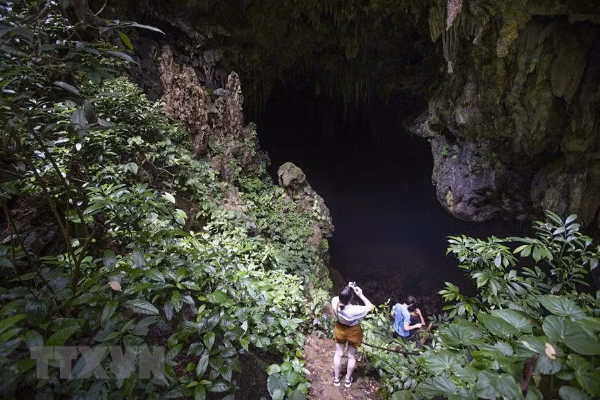 Du khách khám phá hang Sưng. (Ảnh: Trọng Đạt/TTXVN)