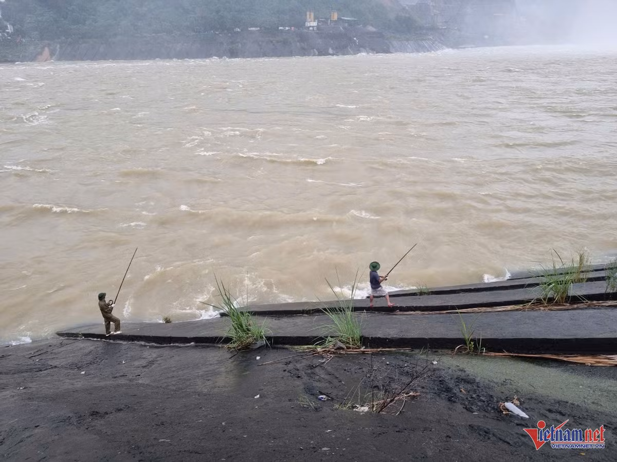 Thủy điện Hòa Bình xả lũ, “cần thủ” vẫn vô tư câu cá - Hình 2 Thuy dien Hoa Binh xa lu, “can thu” van vo tu cau ca-Hinh-2