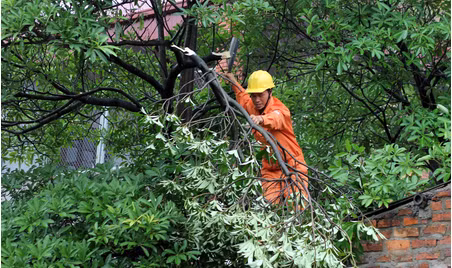Công nhân Công ty Điện lực Quốc Oai (thuộc EVN HANOI) phát quang hành lang tuyến trước mùa mưa bão 2014 - Ảnh: evn.com.vn.