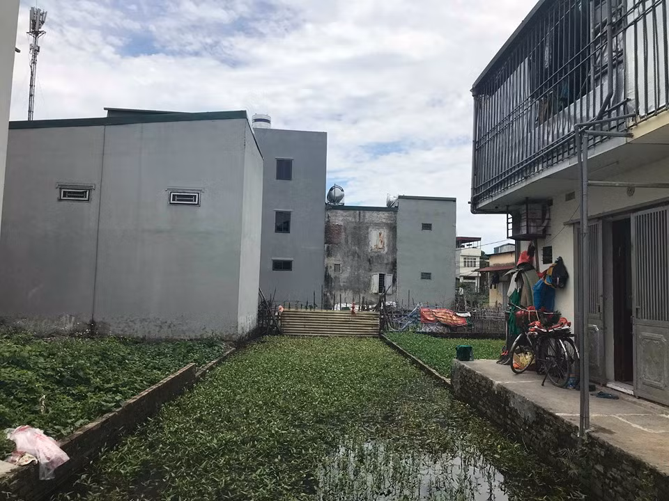 Những ngôi nhà mới xây kiên cố nằm xen lẫn với ruộng rau đã được phân lô.