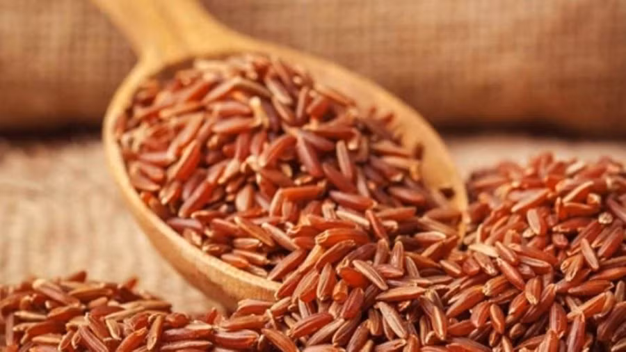 Đồng thời, gạo lứt còn có tác dụng làm chậm quá trình hấp thu đường nên không làm tăng đường huyết đột ngột sau ăn. Bên cạnh đó, gạo lứt còn là nguồn cung cấp vitamin B1 giúp ngăn tê phù ở chi và vitamin B12 thích hợp cho người phải dùng metformin dài ngày. 