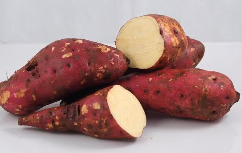Bệnh nhân đái tháo đường thường gặp phải chứng khó tiêu. Khoai lang rất giàu chất xơ, có tác dụng loại bỏ các chất thải tích tụ bên trong dạ dày và làm mềm phân, do đó ngăn ngừa táo bón hiệu quả. Khoai lang giúp kích thích sản xuất dịch vị, từ đó cải thiện hệ tiêu hóa. 