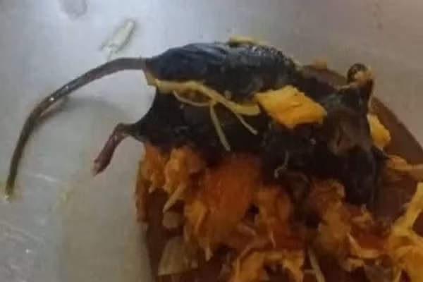 Đang nấu ăn, bà nội trợ kinh hãi thấy chuột chết trong tương cà Dang nau an, ba noi tro kinh hai thay chuot chet trong tuong ca