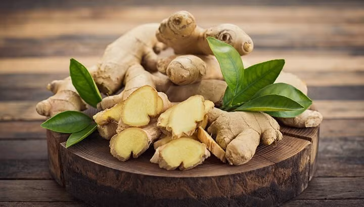 Sau khi gừng bị thối, độc tố safrole có thể lan ra toàn bộ củ gừng, khiến cả những phần lành lặn cũng bị nhiễm độc. Vì vậy, khi thấy củ gừng bị hỏng, tốt nhất bạn nên vứt bỏ.