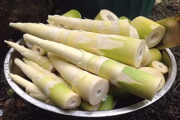 Tuy nhiên, cũng có những loại rau không hề tốt cho cơ thể, chúng có chứa những chất gây hại, ăn càng nhiều càng không tốt.