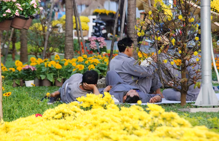 Phút nghỉ ngơi của các nhân viên thi công đường hoa Tết Ất Mùi 2015.