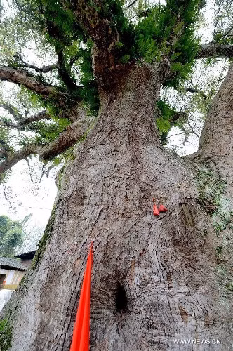 Người dân địa phương gọi bức tượng trên là "ngài tướng quân". Điều này xuất phát từ việc gương mặt và hình dáng của bức tượng khá giống với những pho tượng tạc các vị tướng quân ở Trung Quốc thời xưa.