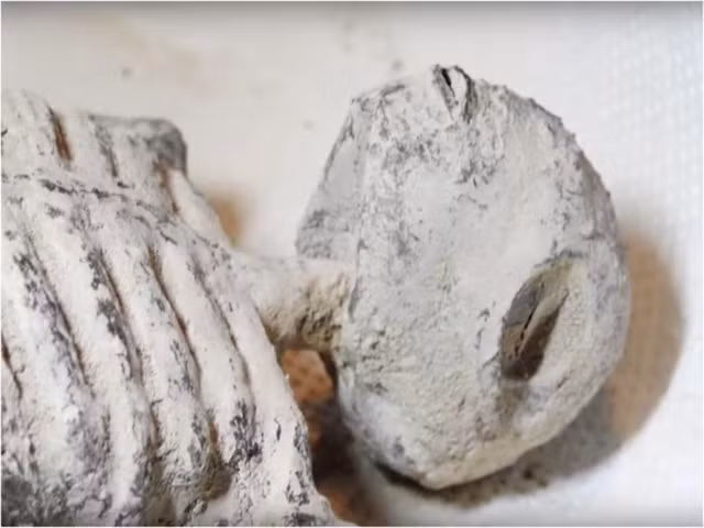 Dù vậy, một quan điểm khác suy đoán xác ướp lạ này có thể là sản phẩm do có người cố tình tạo ra để đánh lừa hậu thế.
