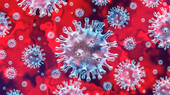 Vì vậy, nhóm nghiên cứu cho rằng cần phải thực hiện sàng lọc virus Sars-CoV-2 trên quy mô lớn đối với động vật hoang dã trên cạn và dưới biển, đặc biệt là những loài dễ mắc bệnh… để xây dựng các chiến lược phòng ngừa và kiểm soát hơn nữa”.