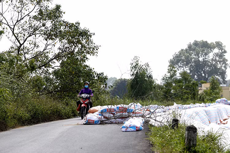 Sụt lún nghiêm trọng tại nhiều điểm đê ở Hà Nội - Hình 15 Sut lun nghiem trong tai nhieu diem de o Ha Noi-Hinh-15