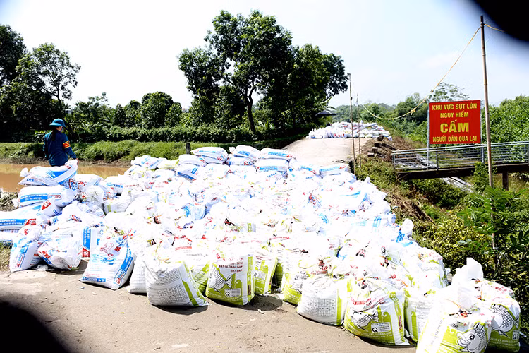 Sụt lún nghiêm trọng tại nhiều điểm đê ở Hà Nội - Hình 5 Sut lun nghiem trong tai nhieu diem de o Ha Noi-Hinh-5