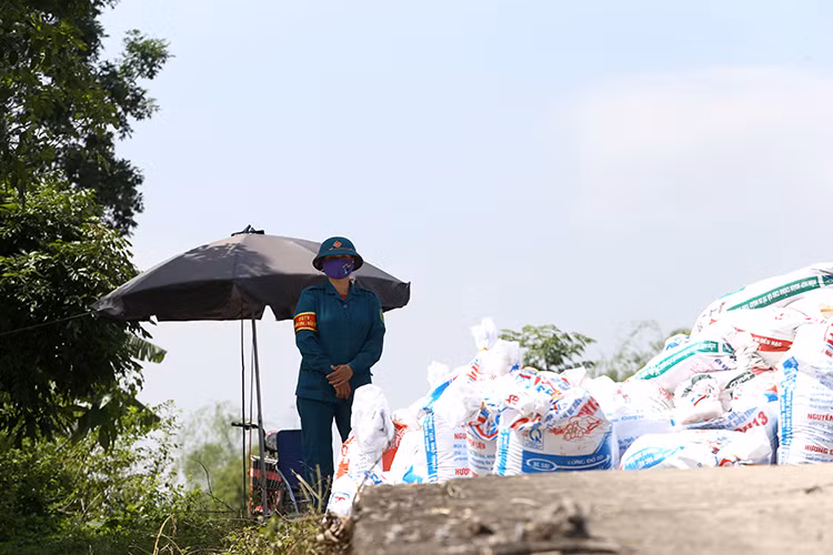 Sụt lún nghiêm trọng tại nhiều điểm đê ở Hà Nội - Hình 6 Sut lun nghiem trong tai nhieu diem de o Ha Noi-Hinh-6