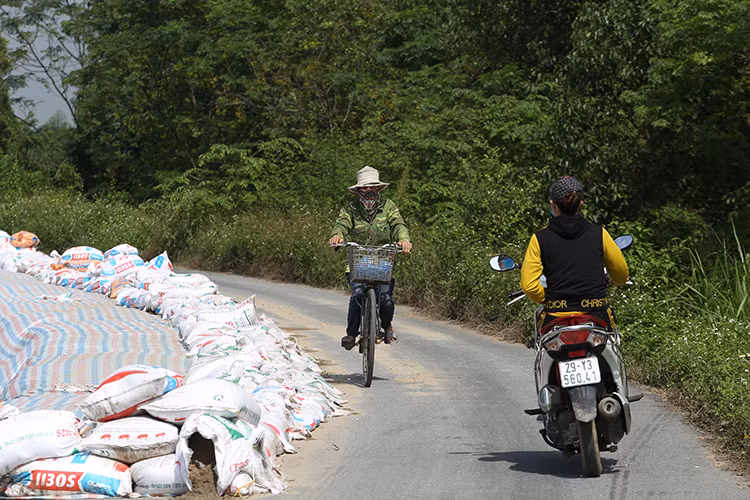 Sụt lún nghiêm trọng tại nhiều điểm đê ở Hà Nội - Hình 13 Sut lun nghiem trong tai nhieu diem de o Ha Noi-Hinh-13