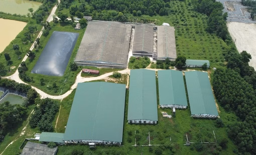 Khơi thông “điểm nghẽn” mặt bằng để thi công dự án cao tốc Bắc - Nam - Hình 2 Khoi thong “diem nghen” mat bang de thi cong du an cao toc Bac - Nam-Hinh-2