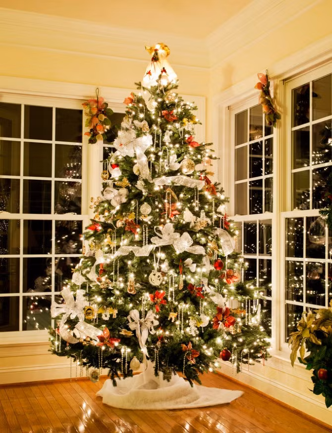 7. Cây thông Noel được trồng tự nhiên có thể tạo cho mình một hệ sinh thái riêng, cung cấp môi trường sống cho động vật hoang dã và còn góp phần không nhỏ vào quá trình thụ phấn ở thực vật. Một cây thông Giáng sinh trung bình chứa khoảng 30.000 con bọ và côn trùng.