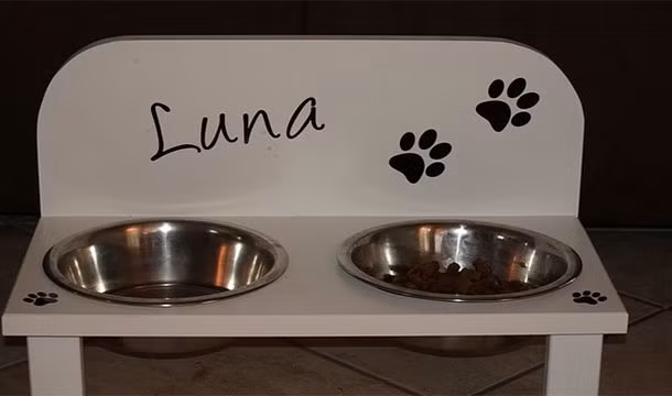 Những con mèo nhà trong khi ăn sẽ cố gắng để không uống bát nước được chủ nhân đặt sẵn bên bát thức ăn của chúng. Điều này xuất phát từ bản năng tự nhiên, nguồn nước trong thiên nhiên nhiều khả năng bị ô nhiễm, chúng sẽ không uống khi không thấy an toàn.
